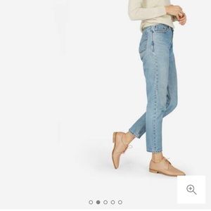 Everlane Modern Oxford Blush